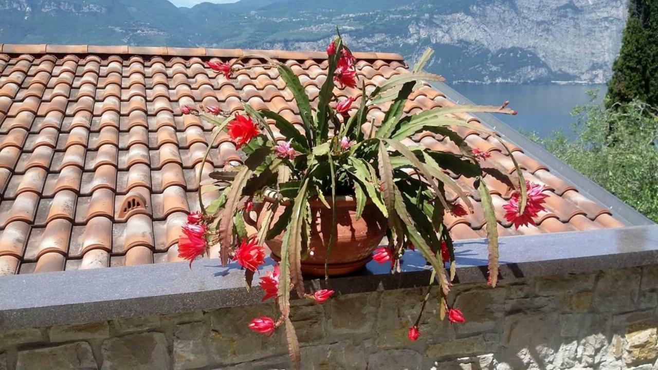 Апартаменти Casa Valenti Бренцоне-суль-Гарда Екстер'єр фото